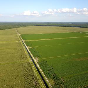 Photo #26 of SOLD property in Off Shiloh Rd, Ivanhoe, NC 1,153.0 acres