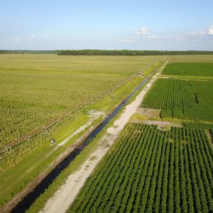 Photo #27 of SOLD property in Off Shiloh Rd, Ivanhoe, NC 1,153.0 acres