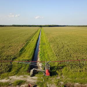 Photo #28 of SOLD property in Off Shiloh Rd, Ivanhoe, NC 1,153.0 acres