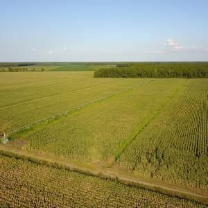Photo #29 of SOLD property in Off Shiloh Rd, Ivanhoe, NC 1,153.0 acres