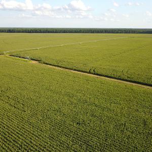Photo #30 of SOLD property in Off Shiloh Rd, Ivanhoe, NC 1,153.0 acres