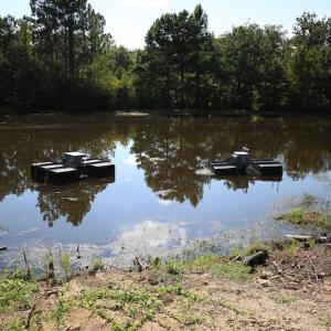 Photo #33 of SOLD property in Off Shiloh Rd, Ivanhoe, NC 1,153.0 acres