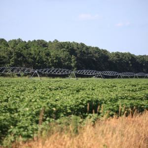 Photo #35 of SOLD property in Off Shiloh Rd, Ivanhoe, NC 1,153.0 acres
