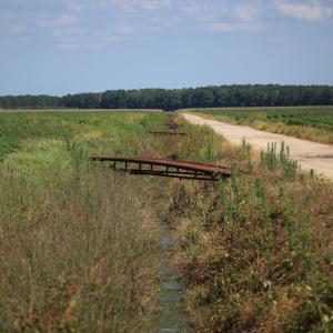 Photo #36 of SOLD property in Off Shiloh Rd, Ivanhoe, NC 1,153.0 acres