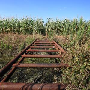 Photo #39 of SOLD property in Off Shiloh Rd, Ivanhoe, NC 1,153.0 acres