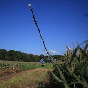 Photo #42 of SOLD property in Off Shiloh Rd, Ivanhoe, NC 1,153.0 acres