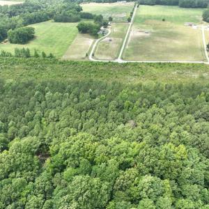 Photo #15 of Off Soney Lane, Gatesville, NC 26.5 acres
