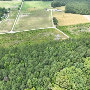 Photo #17 of Off Soney Lane, Gatesville, NC 26.5 acres