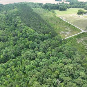 Photo #22 of Off Soney Lane, Gatesville, NC 26.5 acres
