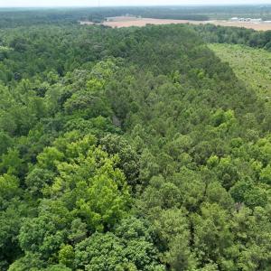 Photo #26 of Off Soney Lane, Gatesville, NC 26.5 acres