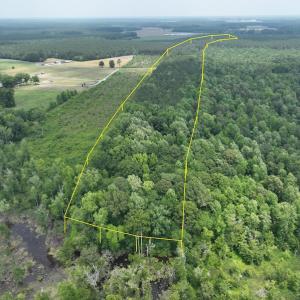 Photo #30 of Off Soney Lane, Gatesville, NC 26.5 acres