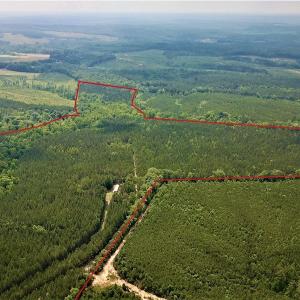 Photo #28 of SOLD property in 1129 Parsons Lane, Lunenburg, VA 104.3 acres