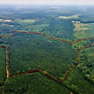 Photo #29 of SOLD property in 1129 Parsons Lane, Lunenburg, VA 104.3 acres
