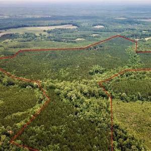 Photo #30 of SOLD property in 1129 Parsons Lane, Lunenburg, VA 104.3 acres