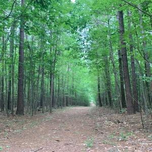 Photo #31 of SOLD property in 1129 Parsons Lane, Lunenburg, VA 104.3 acres