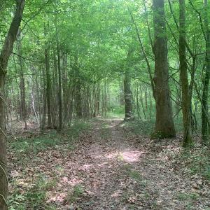 Photo #32 of SOLD property in 1129 Parsons Lane, Lunenburg, VA 104.3 acres