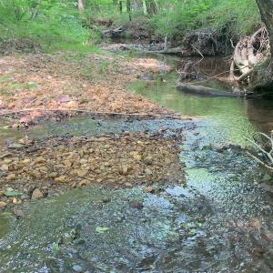 Photo #33 of SOLD property in 1129 Parsons Lane, Lunenburg, VA 104.3 acres