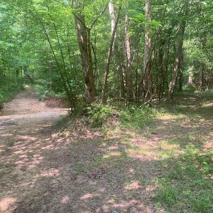 Photo #34 of SOLD property in 1129 Parsons Lane, Lunenburg, VA 104.3 acres