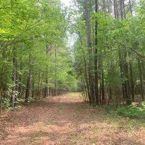 Photo #35 of SOLD property in 1129 Parsons Lane, Lunenburg, VA 104.3 acres