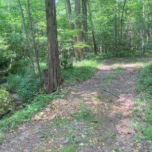 Photo #36 of SOLD property in 1129 Parsons Lane, Lunenburg, VA 104.3 acres