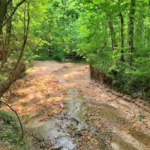 Photo #37 of SOLD property in 1129 Parsons Lane, Lunenburg, VA 104.3 acres
