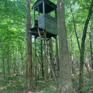Photo #38 of SOLD property in 1129 Parsons Lane, Lunenburg, VA 104.3 acres