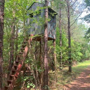 Photo #43 of SOLD property in 1129 Parsons Lane, Lunenburg, VA 104.3 acres