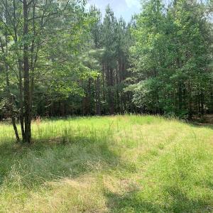 Photo #44 of SOLD property in 1129 Parsons Lane, Lunenburg, VA 104.3 acres