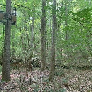 Photo #45 of SOLD property in 1129 Parsons Lane, Lunenburg, VA 104.3 acres