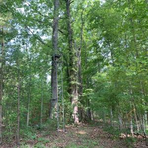 Photo #46 of SOLD property in 1129 Parsons Lane, Lunenburg, VA 104.3 acres