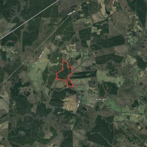 Photo #48 of SOLD property in 1129 Parsons Lane, Lunenburg, VA 104.3 acres