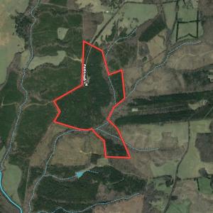 Photo #47 of SOLD property in 1129 Parsons Lane, Lunenburg, VA 104.3 acres