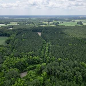 Photo #2 of SOLD property in Off Wilcox Ln, Vanceboro, NC 57.8 acres
