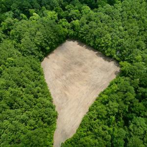Photo #12 of SOLD property in Off Wilcox Ln, Vanceboro, NC 57.8 acres