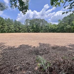 Photo #14 of SOLD property in Off Wilcox Ln, Vanceboro, NC 57.8 acres