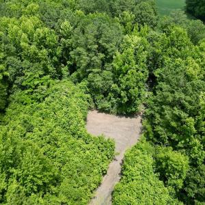 Photo #20 of SOLD property in Off Wilcox Ln, Vanceboro, NC 57.8 acres
