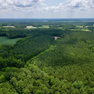 Photo #3 of SOLD property in Off Wilcox Ln, Vanceboro, NC 57.8 acres