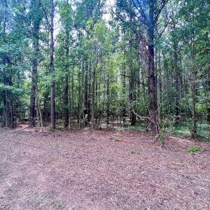 Photo #25 of SOLD property in Off Wilcox Ln, Vanceboro, NC 57.8 acres