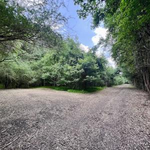 Photo #30 of SOLD property in Off Wilcox Ln, Vanceboro, NC 57.8 acres