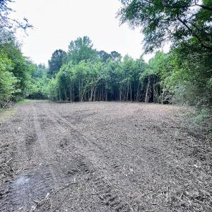 Photo #32 of SOLD property in Off Wilcox Ln, Vanceboro, NC 57.8 acres