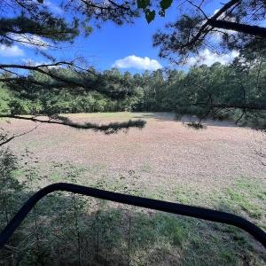 Photo #36 of SOLD property in Off Wilcox Ln, Vanceboro, NC 57.8 acres