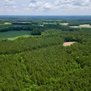 Photo #5 of SOLD property in Off Wilcox Ln, Vanceboro, NC 57.8 acres