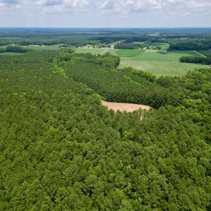 Photo #6 of SOLD property in Off Wilcox Ln, Vanceboro, NC 57.8 acres