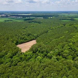 Photo #7 of SOLD property in Off Wilcox Ln, Vanceboro, NC 57.8 acres