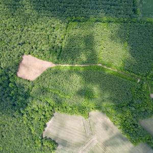 Photo #10 of SOLD property in Off Wilcox Ln, Vanceboro, NC 57.8 acres