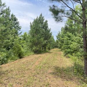 Photo #3 of SOLD property in Off Powells Mill Road, Warrenton, NC 15.0 acres