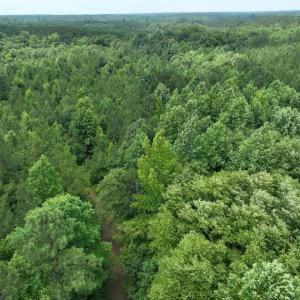 Photo #2 of SOLD property in Off Powells Mill Road, Warrenton, NC 15.0 acres
