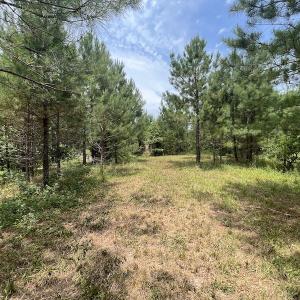 Photo #6 of SOLD property in Off Powells Mill Road, Warrenton, NC 15.0 acres