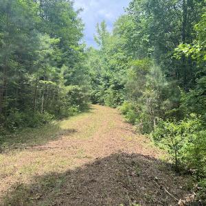 Photo #7 of SOLD property in Off Powells Mill Road, Warrenton, NC 15.0 acres