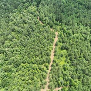 Photo #9 of SOLD property in Off Powells Mill Road, Warrenton, NC 15.0 acres